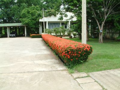 DSCF0040~5.JPG
