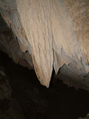 DSCF0044~7.JPG