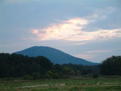 DSCF0055~9.JPG