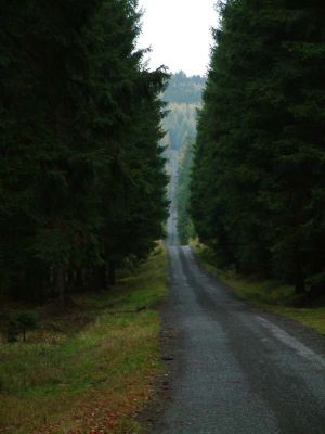 DSCF0060~8.JPG