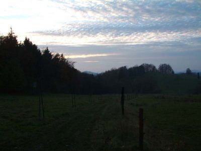 DSCF0061~9.JPG