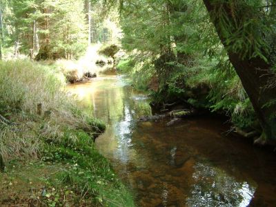 DSCF0070~6.JPG
