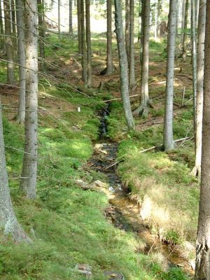 DSCF0075~4.JPG