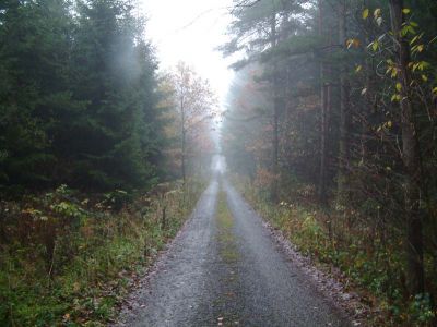 DSCF0076~6.JPG