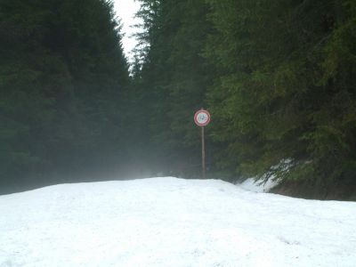 DSCF0078~1.JPG