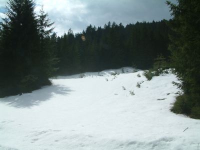 DSCF0079.JPG