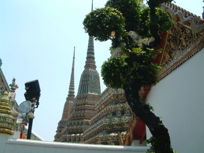 DSCF0080~1.JPG