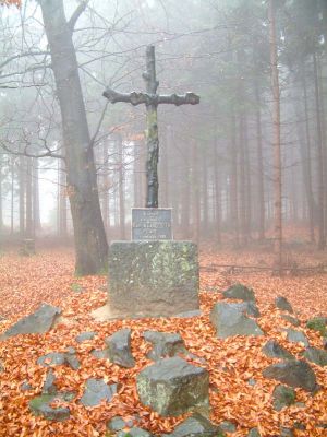 DSCF0080~8.JPG