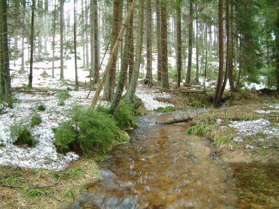 DSCF0081.JPG