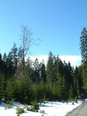 DSCF0082~0.JPG
