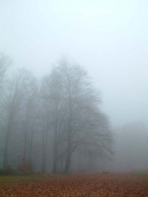 DSCF0088~5.JPG