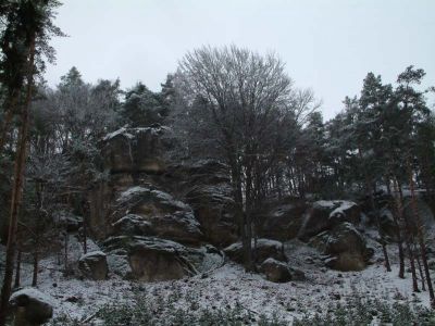 DSCF0089~6.JPG