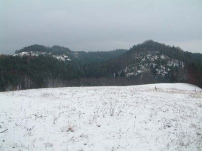 DSCF0091~2.JPG