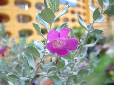 DSCF0098~1.JPG