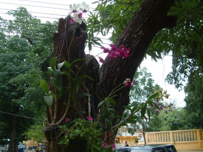DSCF0100~3.JPG