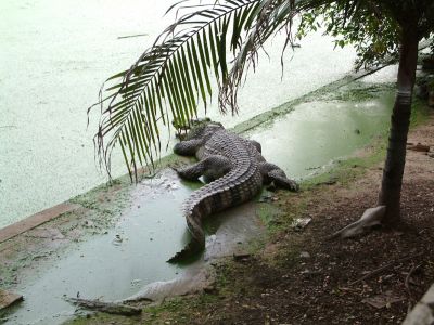 DSCF0114.JPG