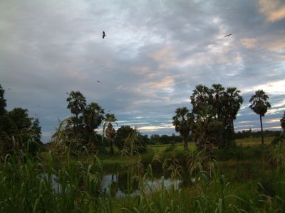 DSCF0115.JPG