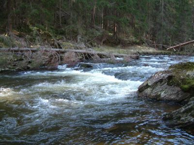 DSCF0120~3.JPG