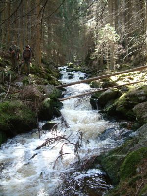 DSCF0134~1.JPG