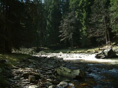 DSCF0140~0.JPG