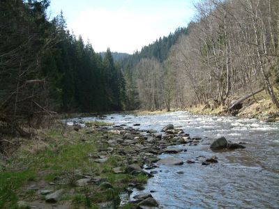 DSCF0145.JPG