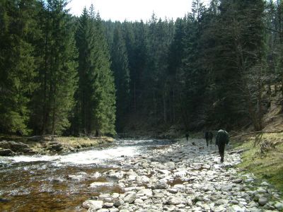 DSCF0149.JPG