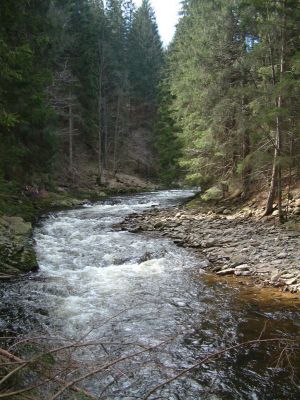 DSCF0150.JPG
