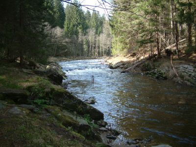 DSCF0153~2.JPG