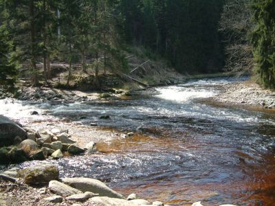 DSCF0157.JPG