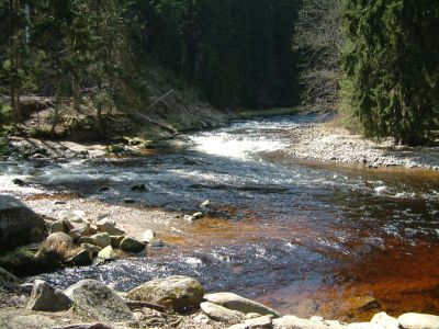 DSCF0159.JPG