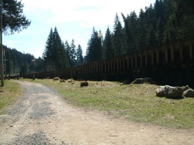 DSCF0161.JPG