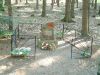 DSCF0007~9.JPG