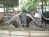 DSCF0008~7.JPG