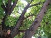 DSCF0009~12.JPG