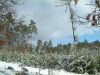 DSCF0015~3.JPG
