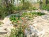 DSCF0018~13.JPG