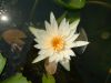DSCF0022~5.JPG