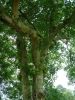 DSCF0022~7.JPG