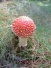 DSCF0030.jpg