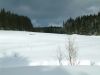 DSCF0041~23.JPG