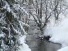 DSCF0045.jpg