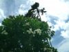 DSCF0046~4.JPG