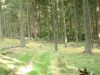 DSCF0046~9.JPG