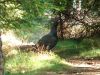DSCF0050.jpg