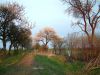 DSCF0051~1.JPG