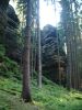 DSCF0052~14.JPG