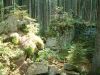 DSCF0052~9.JPG