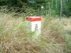 DSCF0054~4.JPG
