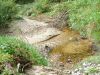 DSCF0065~8.JPG