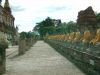 DSCF0066~1.JPG